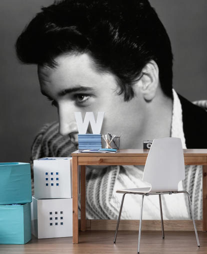 schwarz-weißes Elvis-Wandbild namens Elvis Presley (Jailhouse Rock)