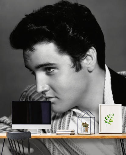 black and white elvis wall mural called Elvis Presley (Jailhouse Rock)