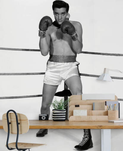 black and white movie wallpaper mural called Elvis Presley (Kid Galahad) II for homes and businesses
