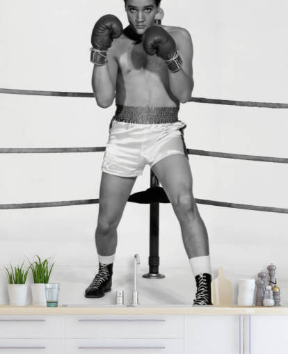 black and white movie wallpaper mural called Elvis Presley (Kid Galahad) II for homes and businesses