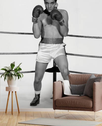 black and white movie wallpaper mural called Elvis Presley (Kid Galahad) II for homes and businesses