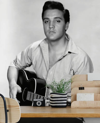 mural de papel pintado de rock and roll en blanco y negro llamado Elvis Presley (Kid Galahad) mural de papel pintado de rock and roll en blanco y negro llamado Elvis Presley (Kid Galahad)
