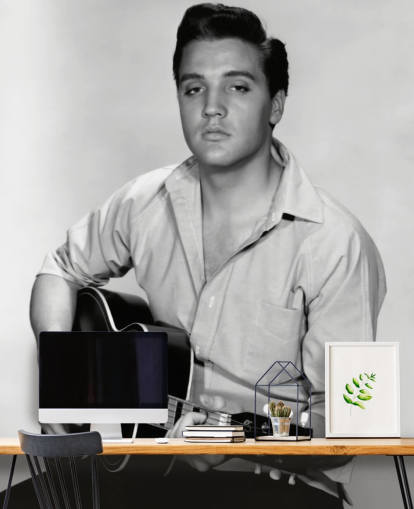 schwarz-weißes Rock'n'Roll-Tapeten-Wandbild namens Elvis Presley (Kid Galahad)