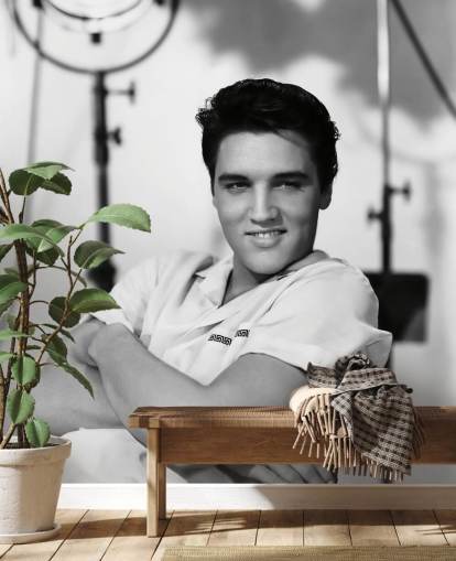 black and white elvis wallpaper mural called Elvis Presley (King Creole) for homes and businesses
