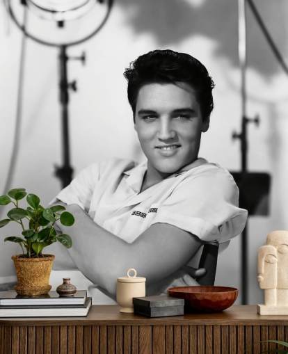 black and white elvis wallpaper mural called Elvis Presley (King Creole) for homes and businesses