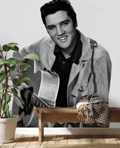 carta da parati murale in bianco e nero di Elvis chiamata Elvis Presley per camera da letto, uffici e aziende