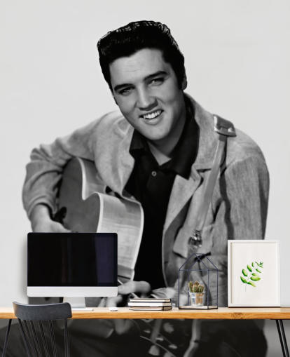 mural de papel pintado de Elvis en blanco y negro llamado Elvis Presley para dormitorios, oficinas y negocios