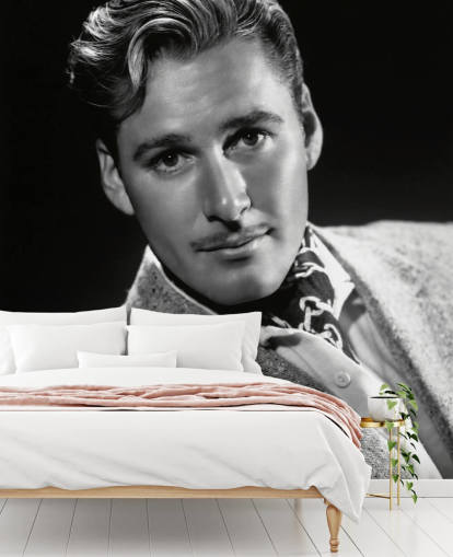 carta da parati murale in bianco e nero con star del cinema chiamata Errol Flynn II per camere da letto e uffici domestici