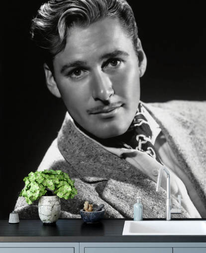 mural de papel pintado de estrella de cine en blanco y negro llamado Errol Flynn II para dormitorios y oficinas en casa