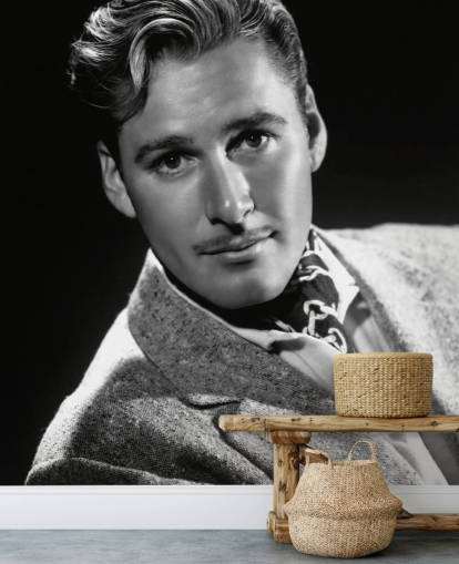 mural de papel de parede de estrela de cinema em preto e branco chamado Errol Flynn II para quartos e escritórios domésticos