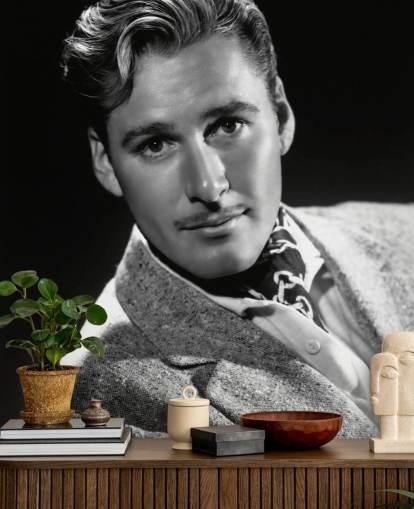 papier peint mural de stars de cinéma en noir et blanc appelé Errol Flynn II pour les chambres et les bureaux à domicile