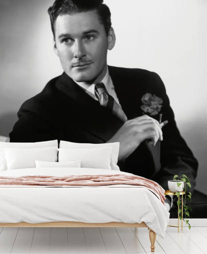 papier peint mural noir et blanc Errol Flynn pour chambres à coucher, salles de cinéma et bureaux à domicile papier peint mural noir et blanc Errol Flynn pour chambres à coucher, salles de cinéma et bureaux à domicile