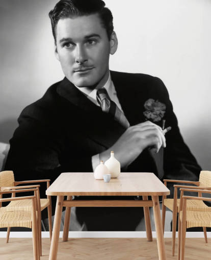black and white errol flynn wallpaper mural for bedrooms, cinema rooms and home offices