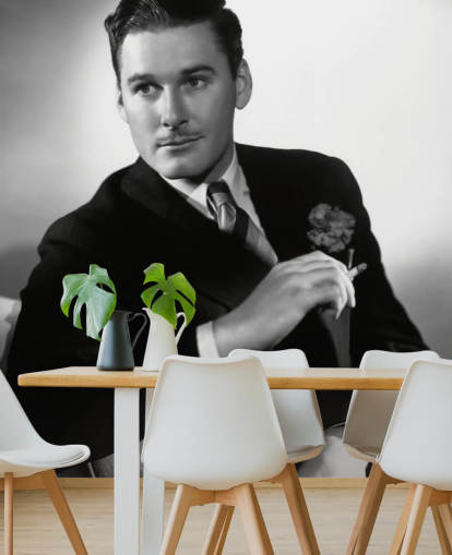 svartvit errol flynn tapetväggmålning för sovrum, biorum och hemmakontor