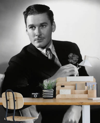 sort/hvid errol flynn tapetmaleri til soveværelser, biografrum og hjemmekontorer sort/hvid errol flynn tapetmaleri til soveværelser, biografrum og hjemmekontorer