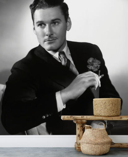 black and white errol flynn wallpaper mural for bedrooms, cinema rooms and home offices