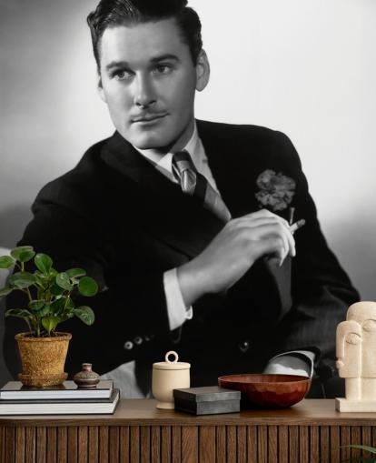 sort/hvid errol flynn tapetmaleri til soveværelser, biografrum og hjemmekontorer sort/hvid errol flynn tapetmaleri til soveværelser, biografrum og hjemmekontorer
