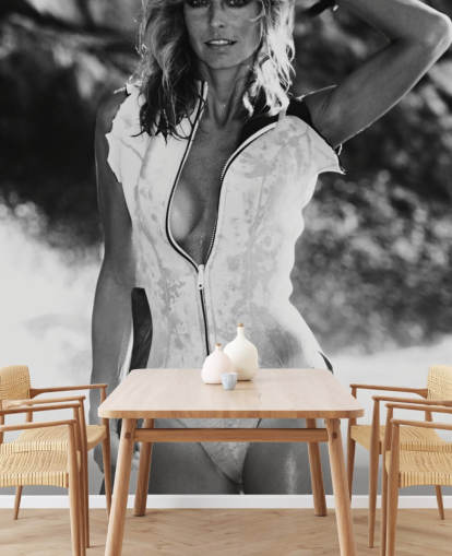 mural de papel pintado de película en blanco y negro llamado Farrah Fawcett (Sunburn) para salas de estar y dormitorios mural de papel pintado de película en blanco y negro llamado Farrah Fawcett (Sunburn) para salas de estar y dormitorios