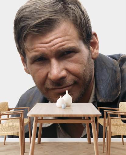 indiana jones wall mural Harrison Ford (Indiana Jones and the Last Crusade)