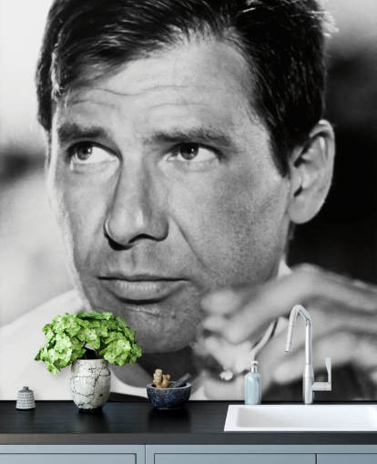 papier peint mural noir et blanc d'Indiana Jones appelé Harrison Ford (Indiana Jones et le Temple maudit)