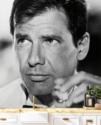 black and white indiana jones wallpaper mural called Harrison Ford (Indiana Jones and the Temple of Doom)