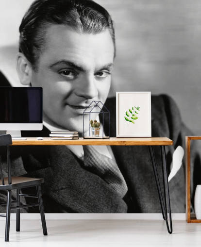 black and white movie star wallpaper mural called James Cagney for bedrooms, living rooms and home offices