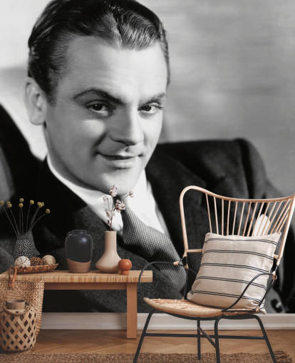 black and white movie star wallpaper mural called James Cagney for bedrooms, living rooms and home offices black and white movie star wallpaper mural called James Cagney for bedrooms, living rooms and home offices