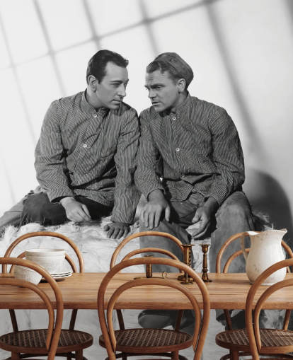 black and white movie wallpaper mural called James Cagney & George Raft (Each Dawn I Die)