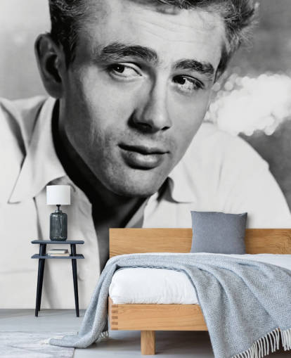 black and white movie wallpaper mural called James Dean II for bedrooms, living rooms and home offices