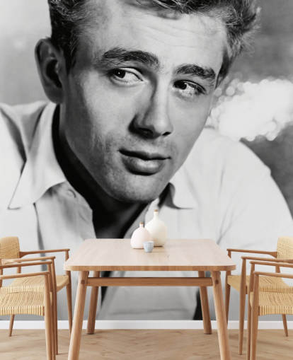 mustavalkoinen elokuvatapetti seinämaalaus nimeltä James Dean II makuuhuoneisiin, olohuoneisiin ja kotitoimistoihin