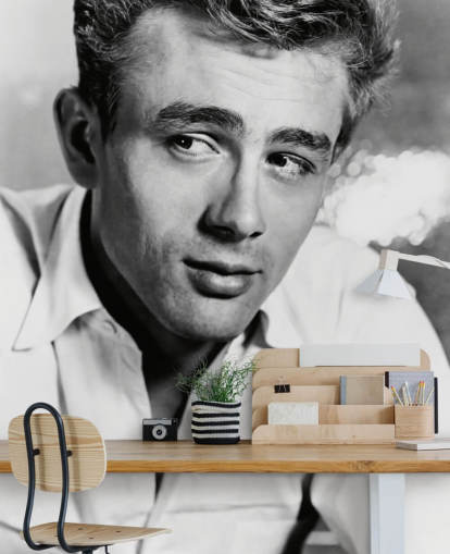black and white movie wallpaper mural called James Dean II for bedrooms, living rooms and home offices