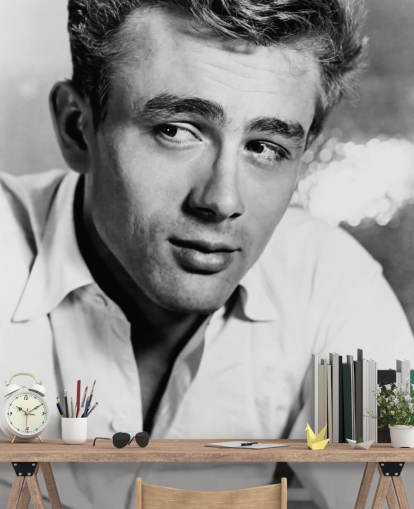 black and white movie wallpaper mural called James Dean II for bedrooms, living rooms and home offices