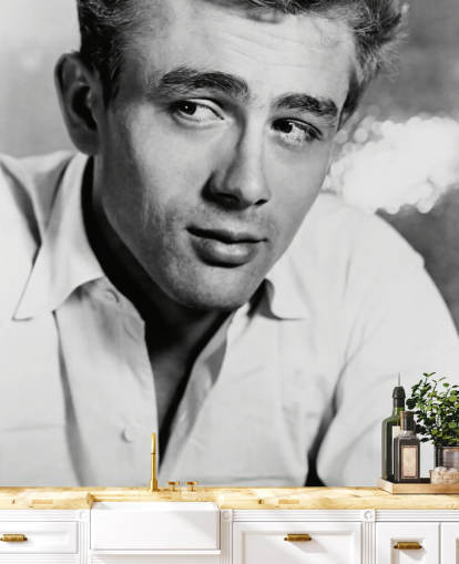 sort/hvid film tapet vægmaleri kaldet James Dean II til soveværelser, stuer og hjemmekontorer