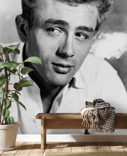 black and white movie wallpaper mural called James Dean II for bedrooms, living rooms and home offices black and white movie wallpaper mural called James Dean II for bedrooms, living rooms and home offices