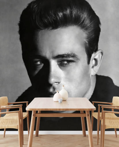 black and white movie wallpaper mural called James Dean for bedrooms and living rooms