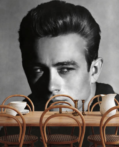 black and white movie wallpaper mural called James Dean for bedrooms and living rooms