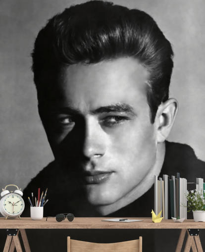 svartvit film tapeter väggmålning som heter James Dean för sovrum och vardagsrum