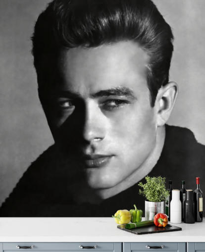 black and white movie wallpaper mural called James Dean for bedrooms and living rooms black and white movie wallpaper mural called James Dean for bedrooms and living rooms