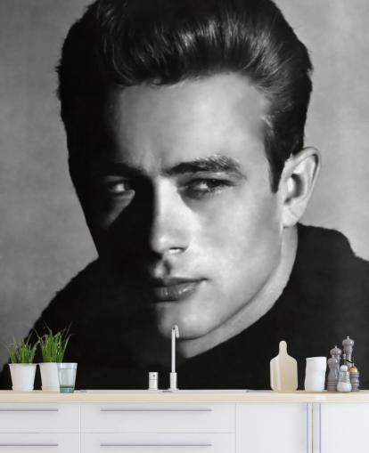 black and white movie wallpaper mural called James Dean for bedrooms and living rooms black and white movie wallpaper mural called James Dean for bedrooms and living rooms