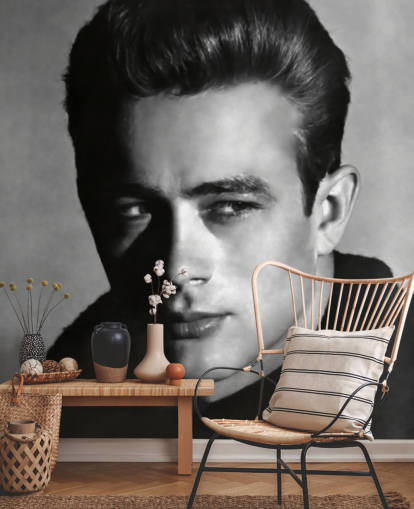 papier peint mural de film en noir et blanc appelé James Dean pour les chambres et les salons