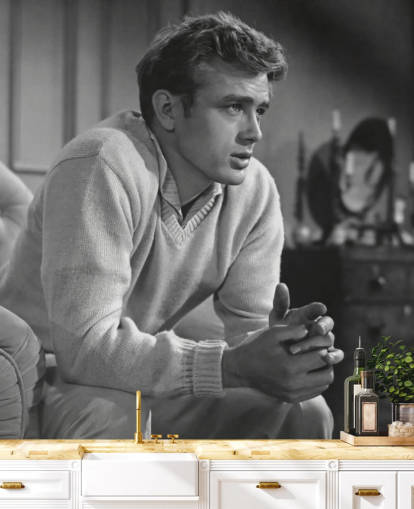 papel pintado de James Dean en blanco y negro llamado James Dean (East of Eden) para dormitorios, salas de cine y oficinas en casa