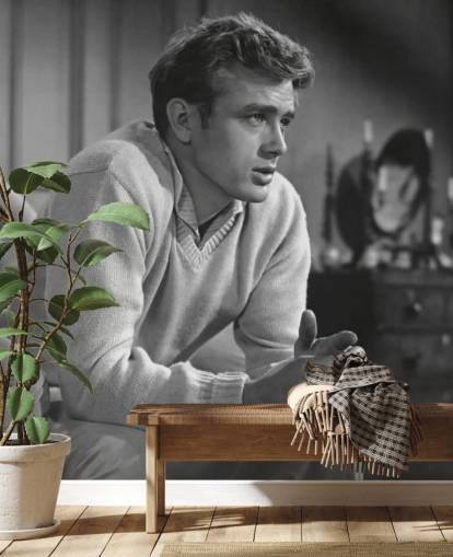zwart-wit james dean behang genaamd James Dean (East of Eden) voor slaapkamers, bioscoopzalen en thuiskantoren zwart-wit james dean behang genaamd James Dean (East of Eden) voor slaapkamers, bioscoopzalen en thuiskantoren