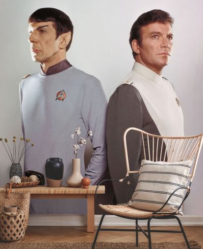 fresque murale Star Trek intitulée Leonard Nimoy et William Shatner (Star Trek II : The Wrath of Khan) pour les chambres et les salons
