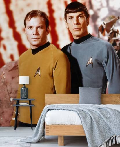 mural de papel pintado de Star Trek llamado Leonard Nimoy & William Shatner (Star Trek) para dormitorios, salas de estar y salas de cine mural de papel pintado de Star Trek llamado Leonard Nimoy & William Shatner (Star Trek) para dormitorios, salas de estar y salas de cine