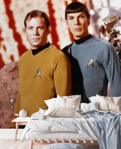 star trek wallpaper mural called Leonard Nimoy & William Shatner (Star Trek) for bedrooms, living rooms and cinema rooms
