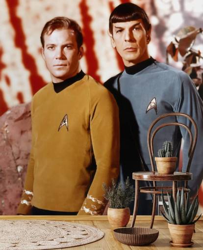 mural de papel pintado de Star Trek llamado Leonard Nimoy & William Shatner (Star Trek) para dormitorios, salas de estar y salas de cine
