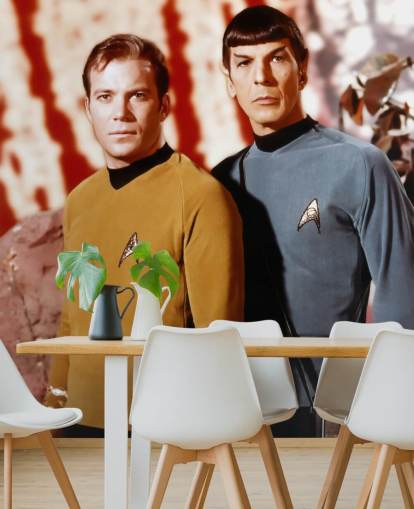 star trek wallpaper mural called Leonard Nimoy & William Shatner (Star Trek) for bedrooms, living rooms and cinema rooms star trek wallpaper mural called Leonard Nimoy & William Shatner (Star Trek) for bedrooms, living rooms and cinema rooms