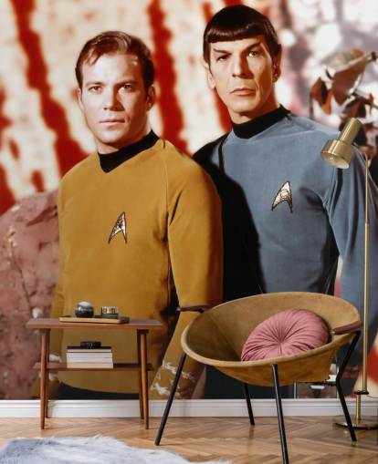 star trek wallpaper mural called Leonard Nimoy & William Shatner (Star Trek) for bedrooms, living rooms and cinema rooms