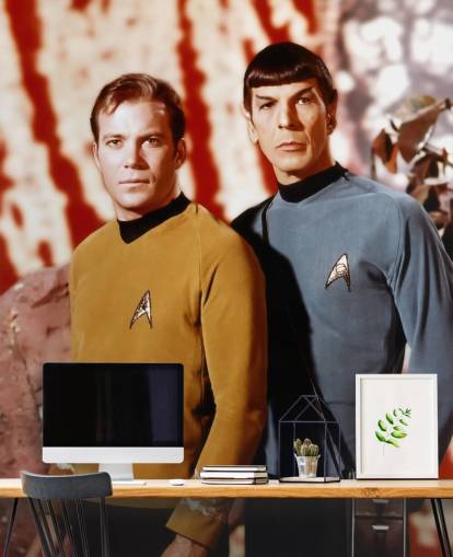 star trek wallpaper mural called Leonard Nimoy & William Shatner (Star Trek) for bedrooms, living rooms and cinema rooms