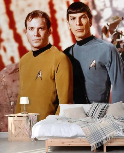 star trek wallpaper mural called Leonard Nimoy & William Shatner (Star Trek) for bedrooms, living rooms and cinema rooms